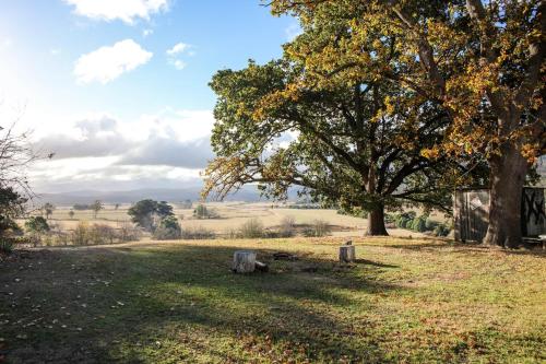Twamley Farm — Unknown City — photo 2