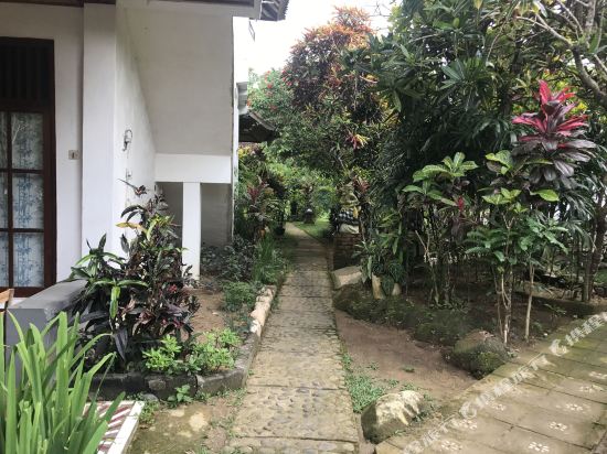 Lecuk Ubud Bungalows