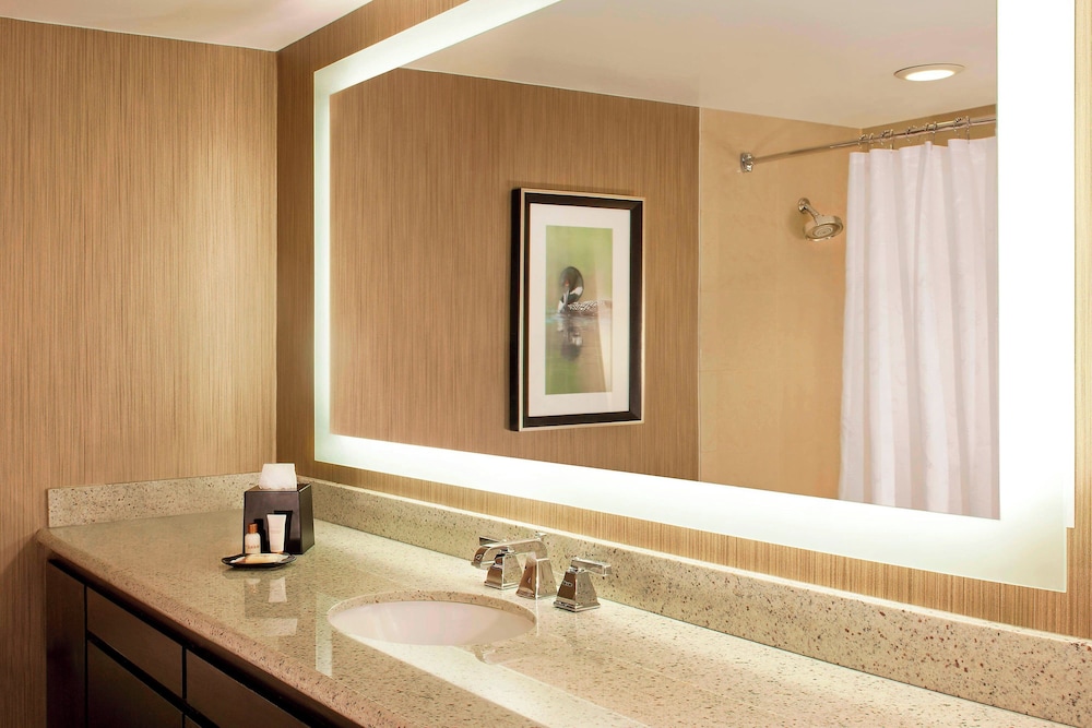 Sheraton Minneapolis West Hotel - photo 36