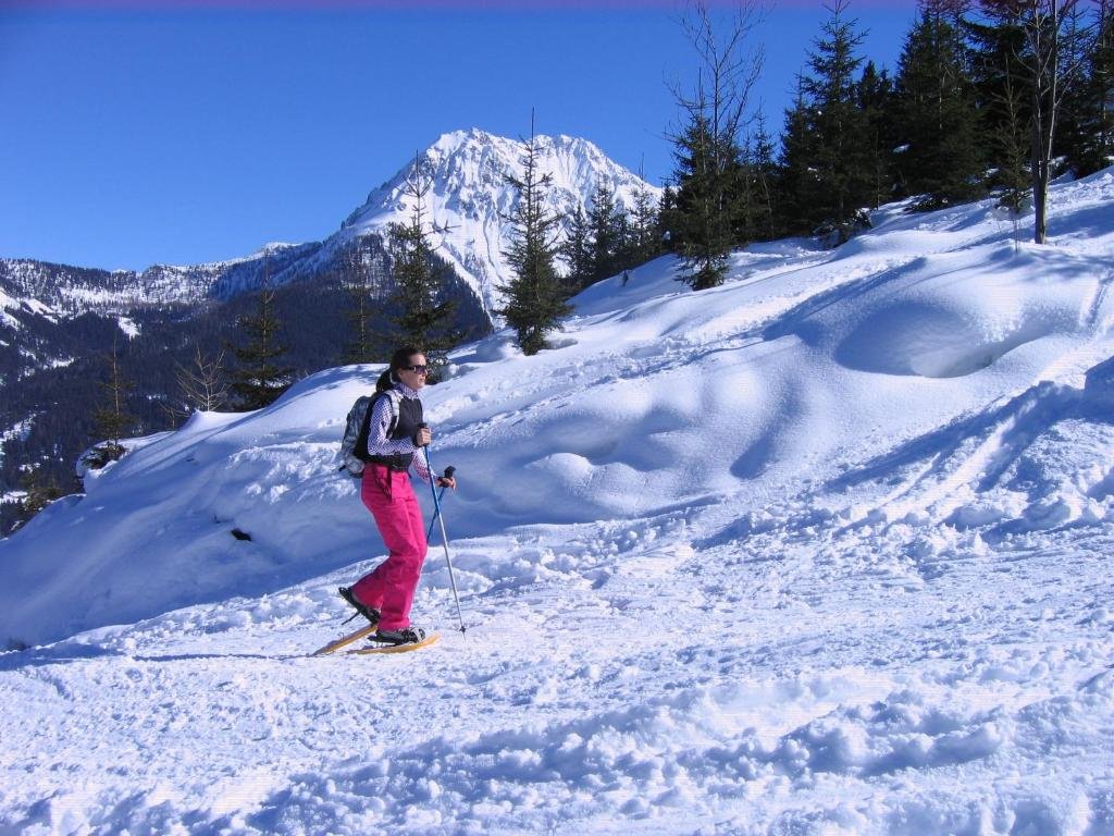 Oberauhof in Kleinarl, Austria