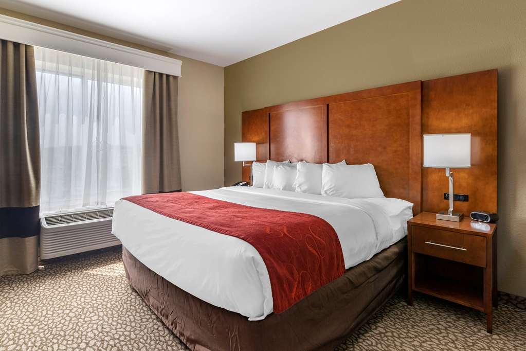 Comfort Suites Florence I 95 - photo 7