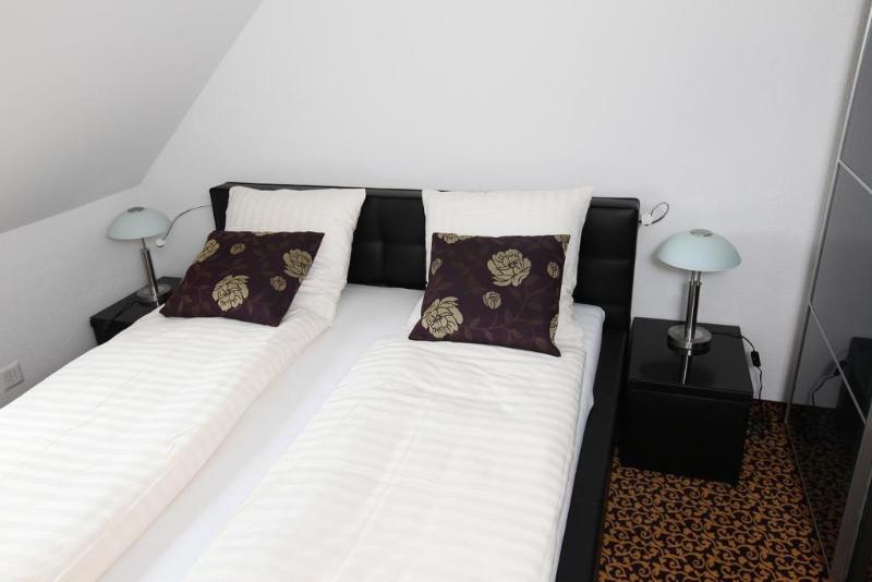 Swiss Star Apartments Center Dienerstrasse