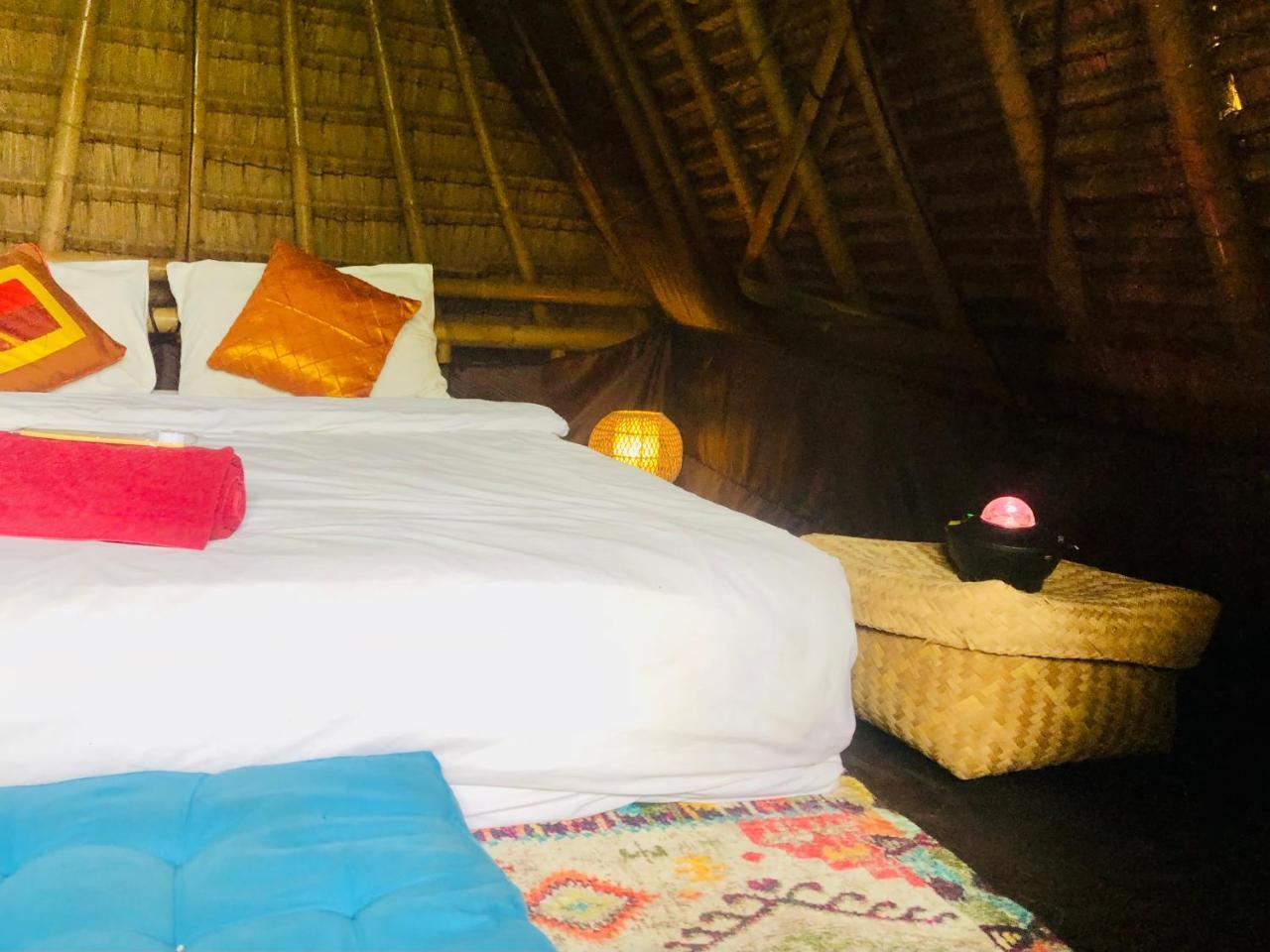 Eco Bamboo Jungle — Canggu — photo 4