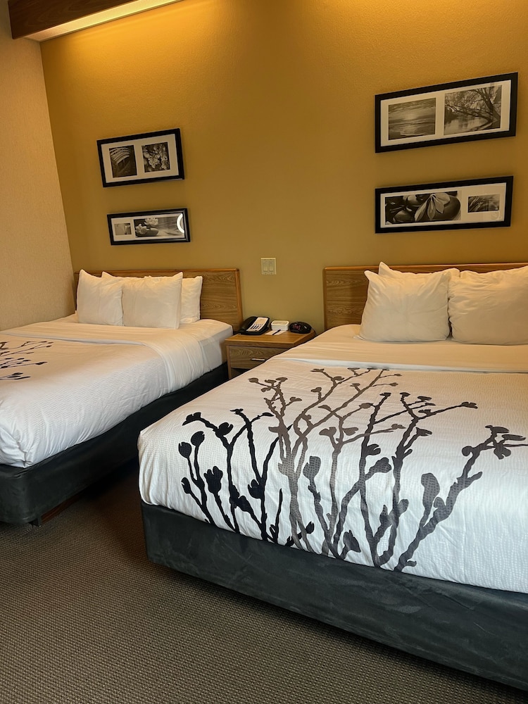 Spark by Hilton Lynchburg - photo 8