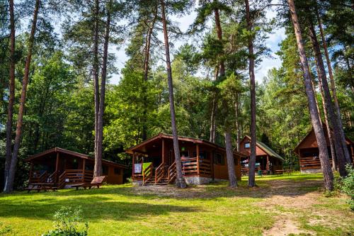 Zawiaty rodzinne wakacje z animacjami dla dzieci — hotel in Czarna Dabrowka