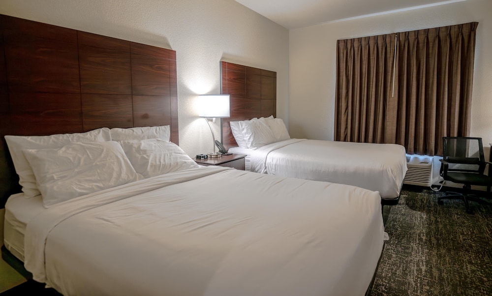 Cobblestone Hotel & Suites Lamar - photo 47