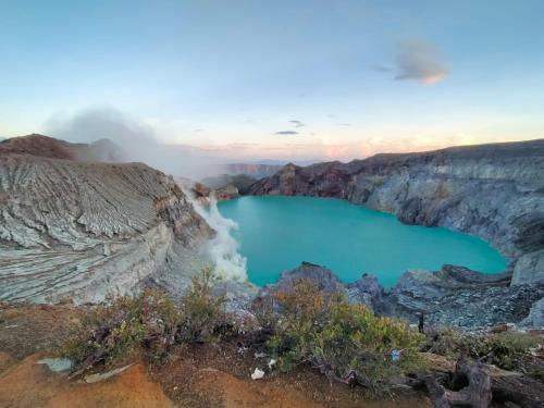 Javalindra Homestay Tour and Travel — 5-Star Luxury Hotel in Banyuwangi, Indonesia