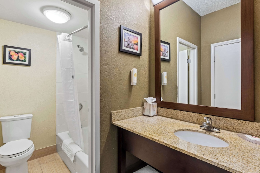 Comfort Inn Roswell Dunwoody - photo 22