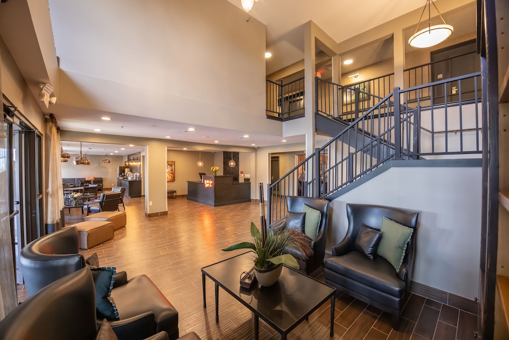 Distill Inn - photo 4