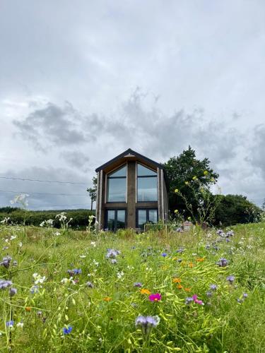 Nettles & Petals