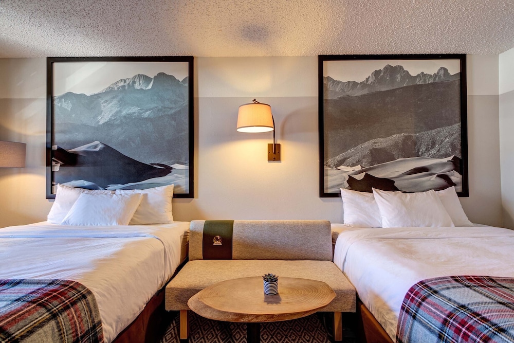 Loyal Duke Lodge - photo 16