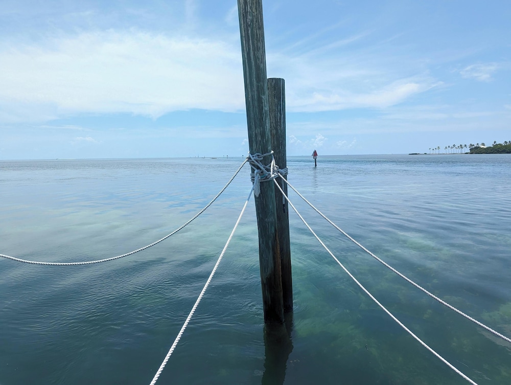 Bud N' Mary's Fishing Marina - photo 129