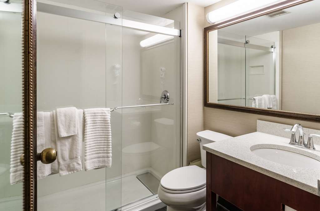 Comfort Inn & Suites West Springfield - photo 10