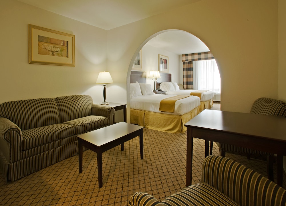 Holiday Inn Express & Suites Childress by IHG - photo 7