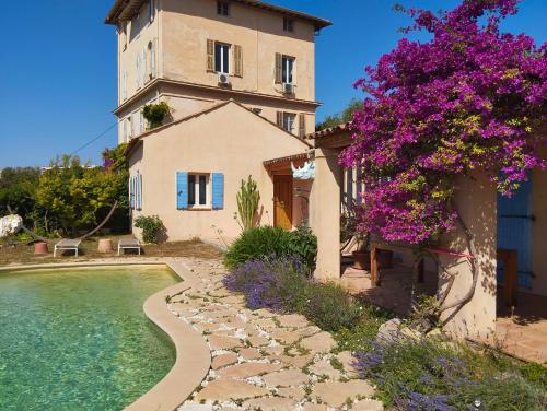 L'Albizia - last minute hotel in Nice