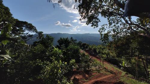 Finca Makambu — San Jose — photo 5