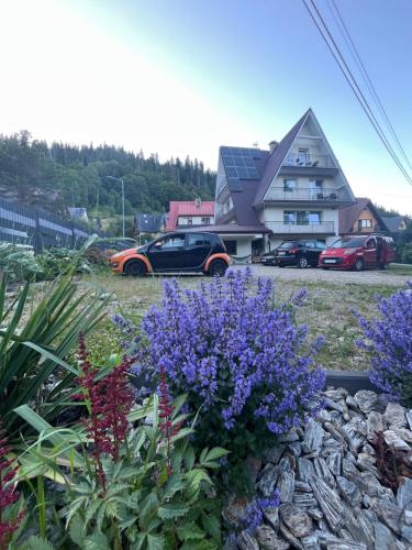 Pokoje Jędras - last minute hotel in Zakopane