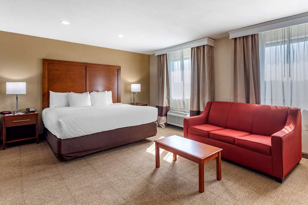 Comfort Inn Nashville West - photo 14