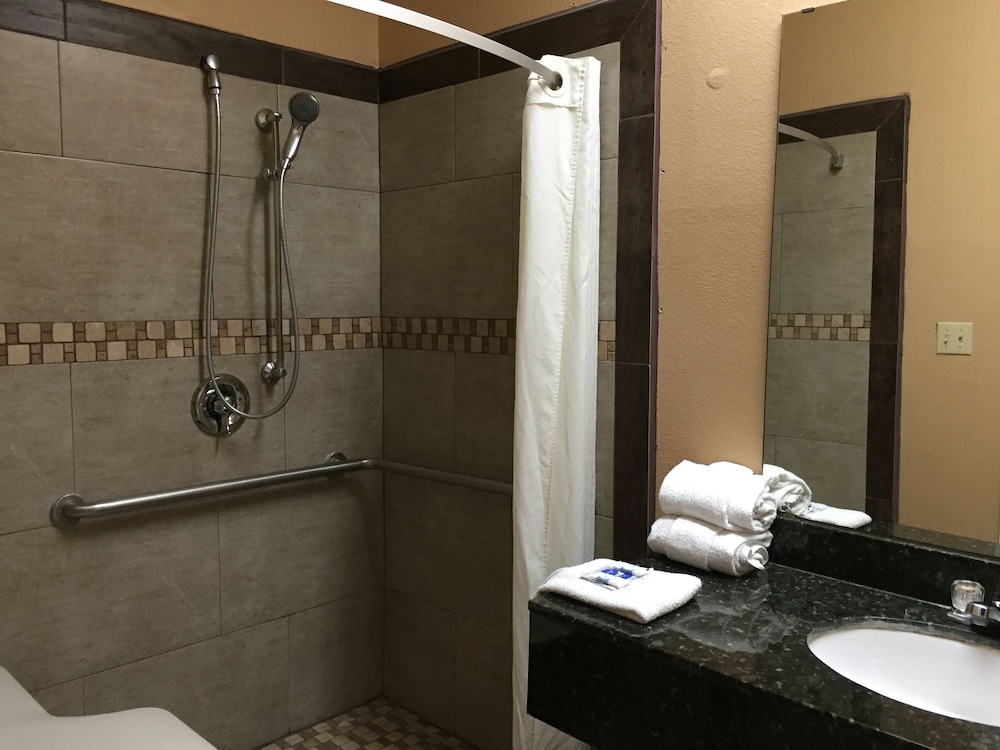Texas Inn Alamo - photo 8