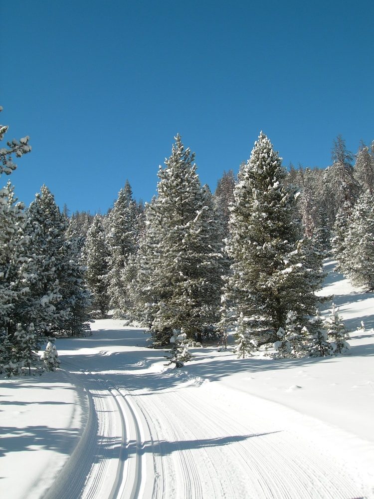 Homestake Lodge - photo 23