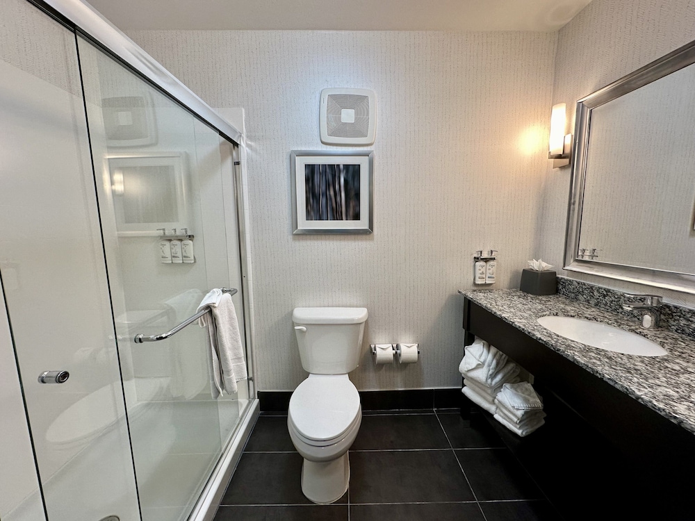 Holiday Inn Carlsbad by IHG - photo 20