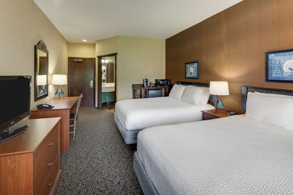 Stoney Creek Hotel Columbia - photo 9