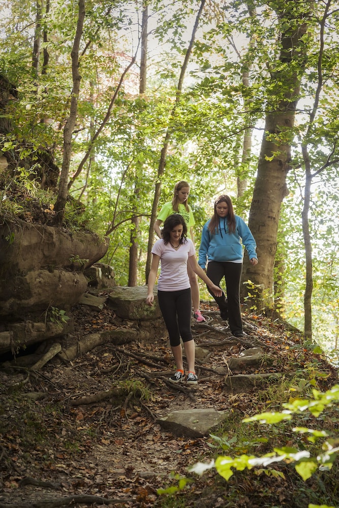 Pennyrile Forest State Resort Park - photo 20