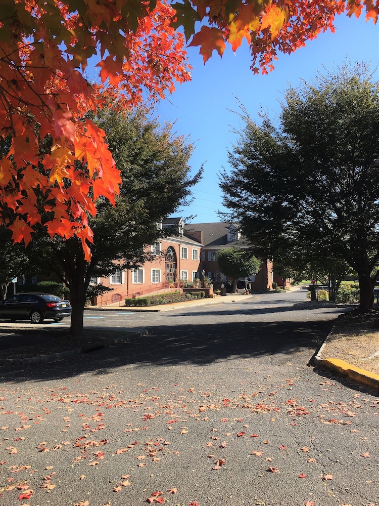 Colts Neck Inn Hotel - photo 47