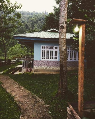 Vamoose Temi in Kalimpong, India