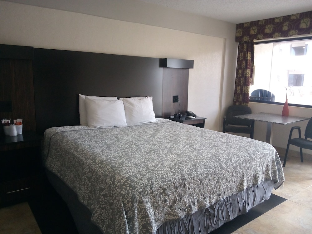 La Bella Oceanfront Inn - photo 3