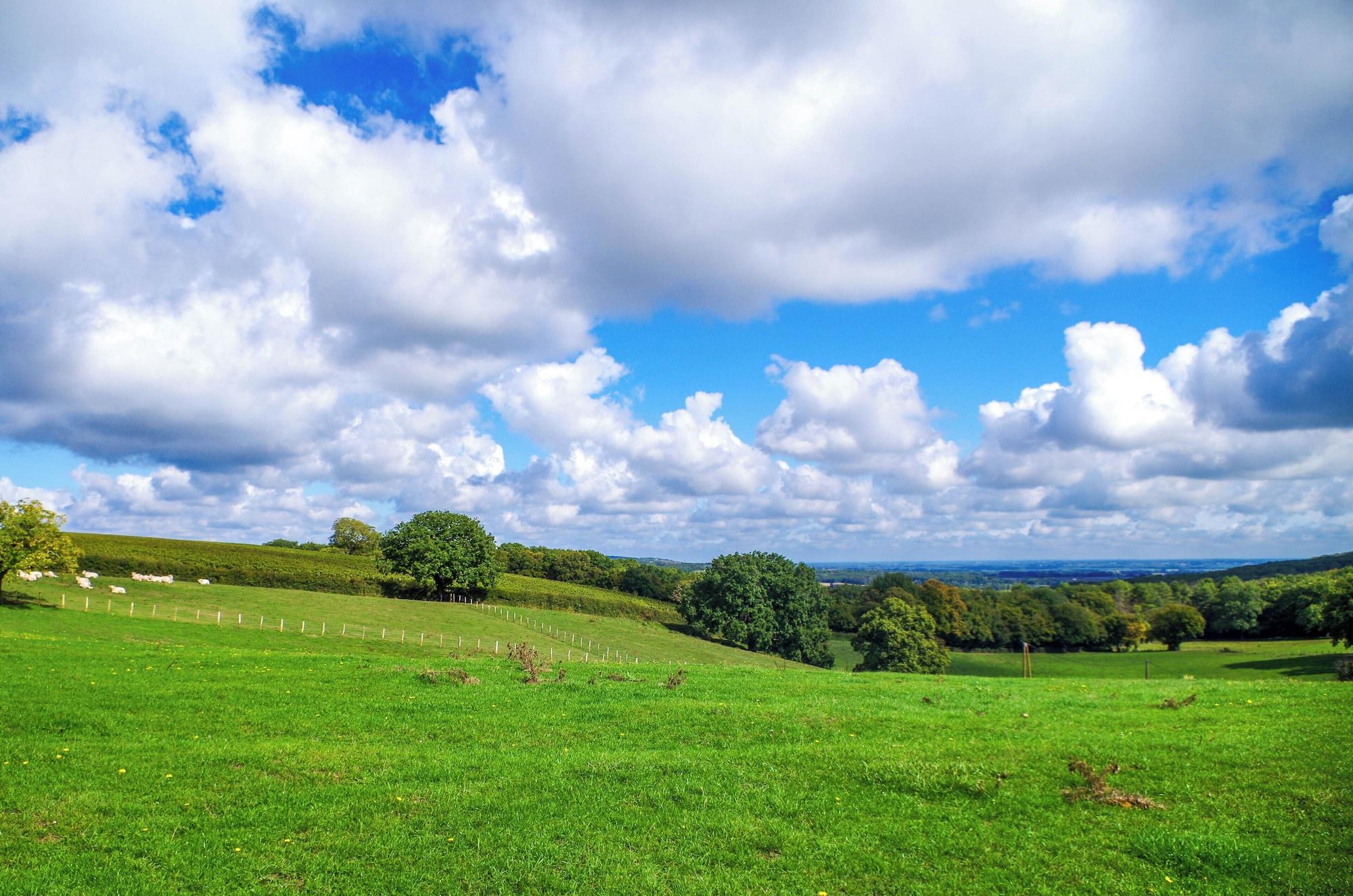 Domaine Joseph Lafarge in Lyon, France