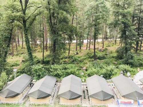 North Deodar Camps — Kulu — photo 4