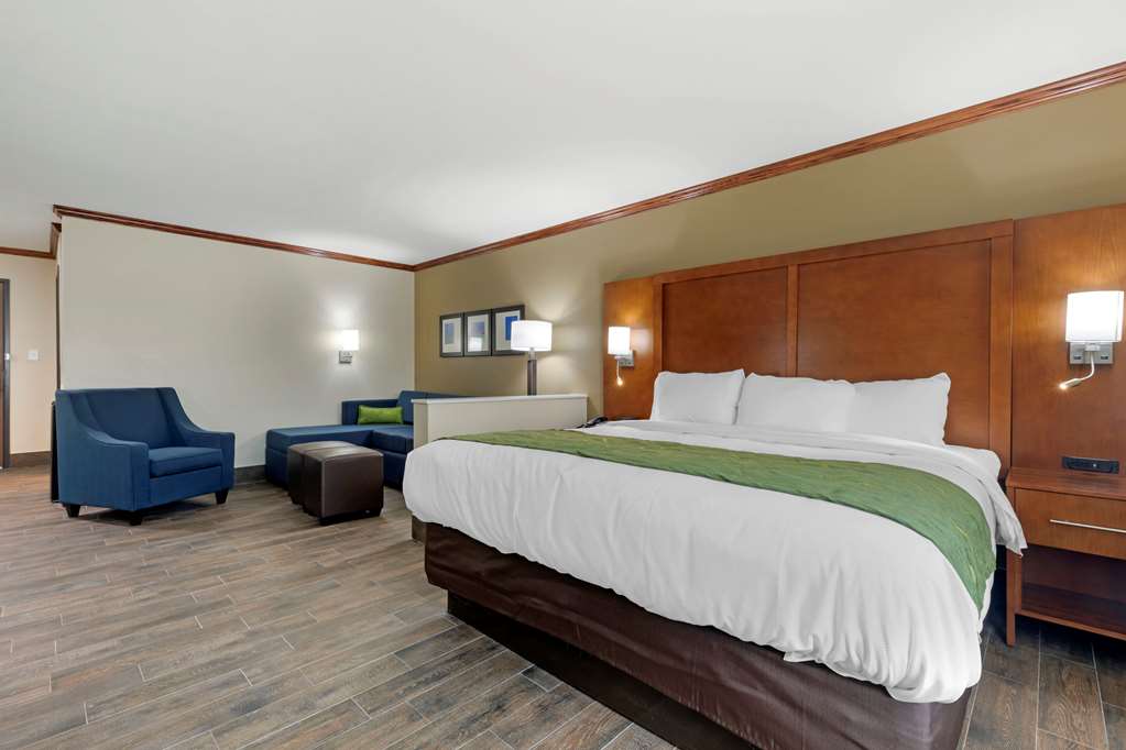 Comfort Suites West Monroe near Ike Hamilton Expo Center - photo 17
