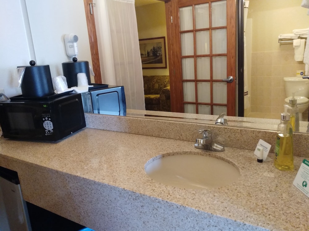 Madelia Hotel & Suites - photo 6