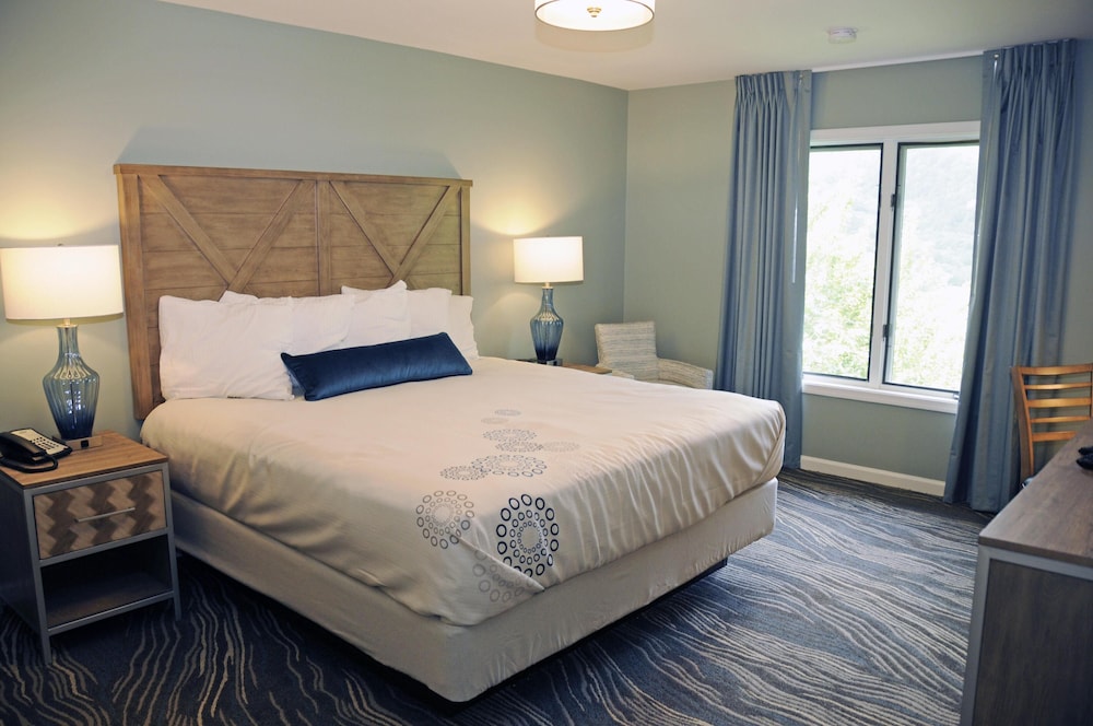 The Summit at Massanutten Resort by TripForth - photo 4