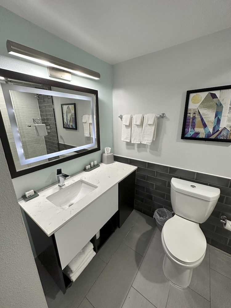 Holiday Inn Express Dallas Downtown - photo 38