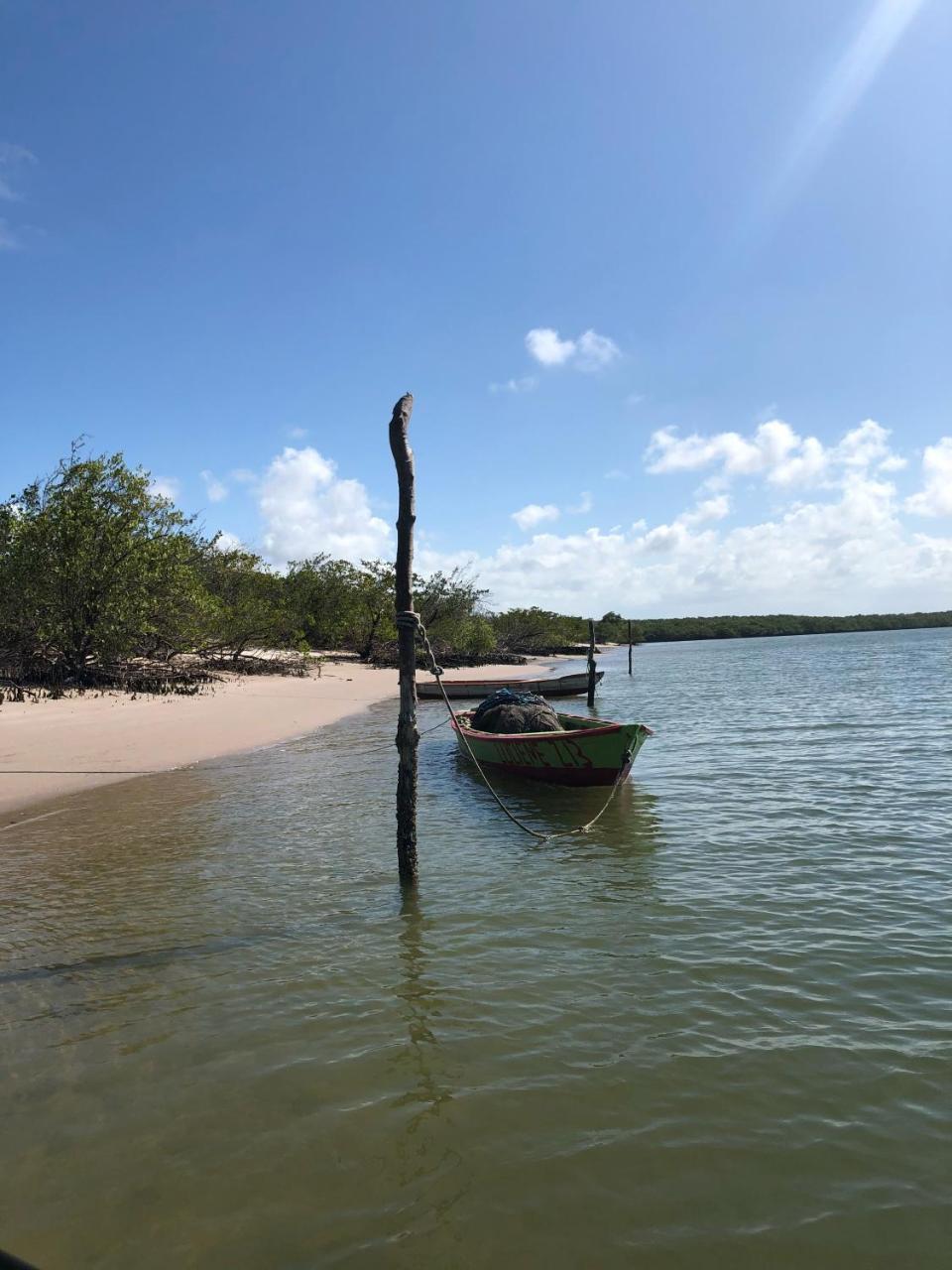 Paraíso na beira do rio — Rio Tinto — photo 2