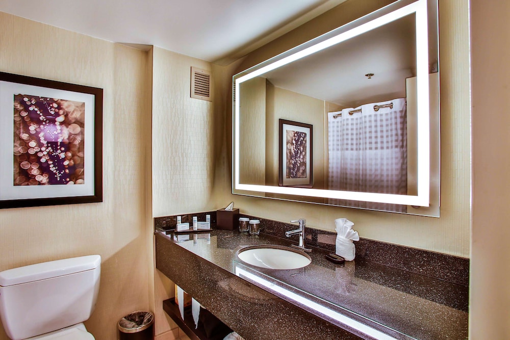 Embassy Suites by Hilton Chicago Downtown Magnificent Mile - photo 30