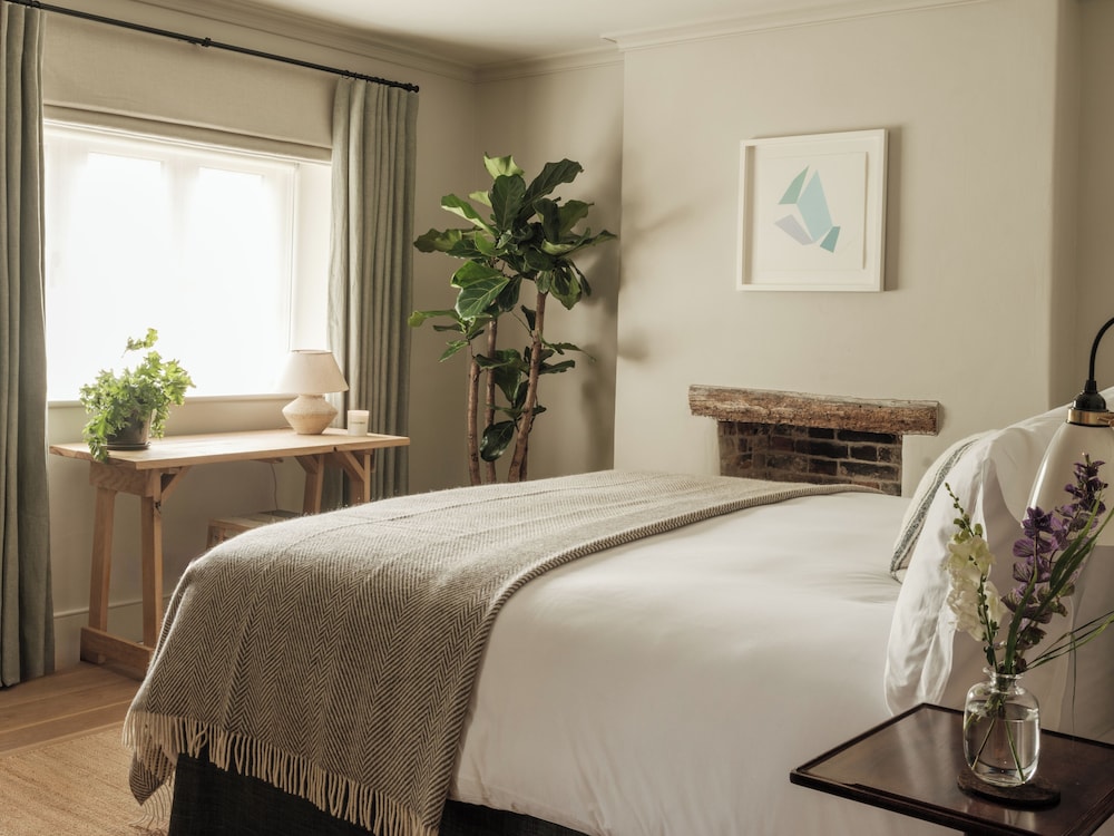 The Great Bustard in Salisbury, United Kingdom