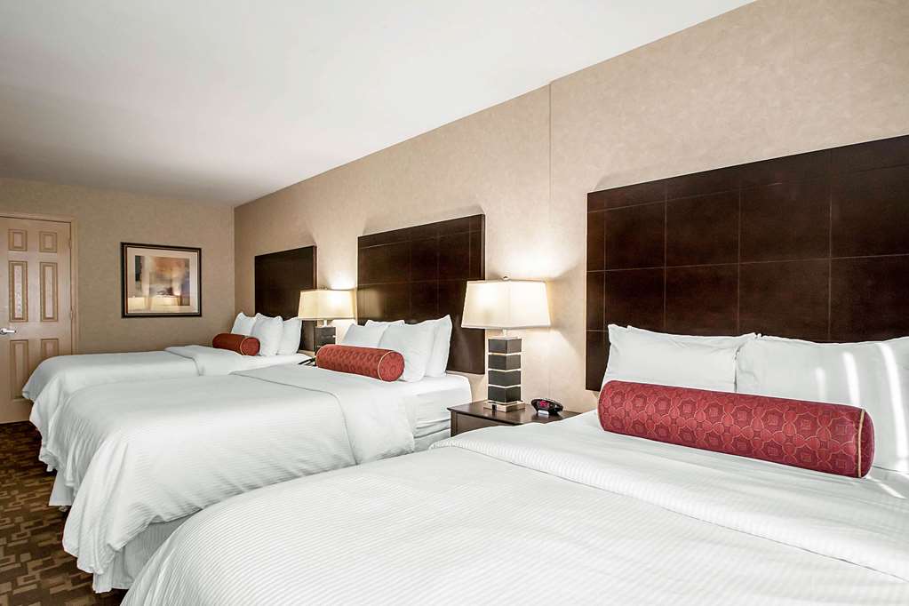 Clarion Inn Elmhurst Oak Brook near I 88 I 290 I 294 - photo 17