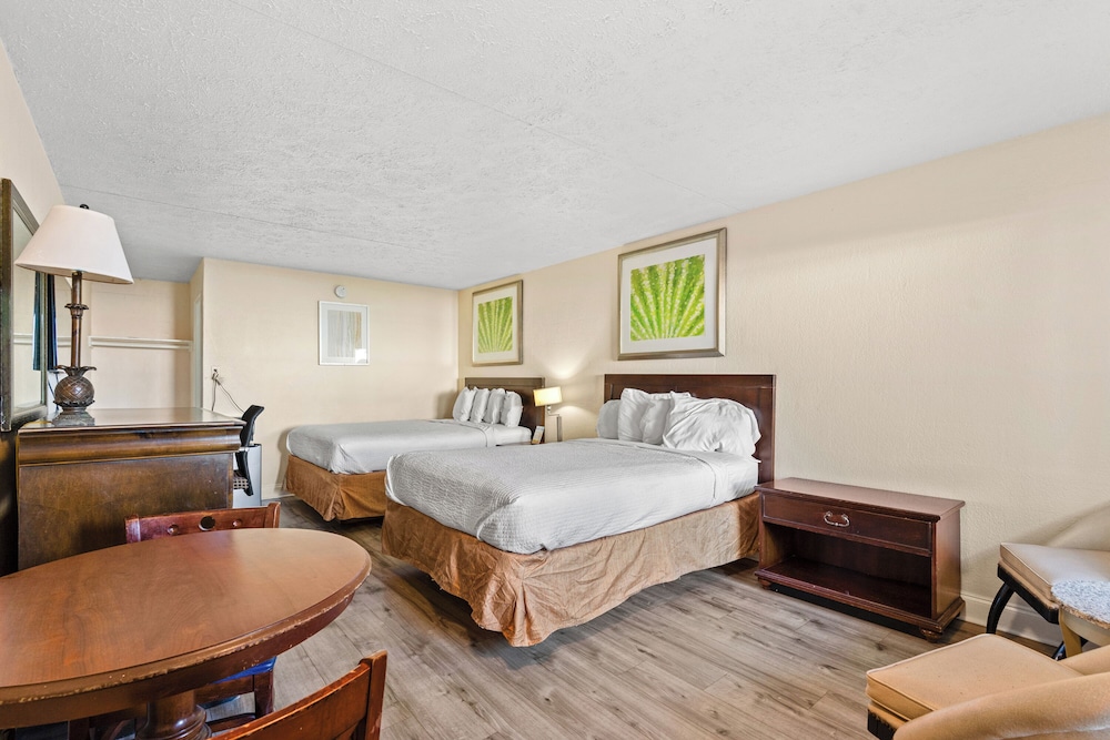 Ocean 5 Hotel - photo 5