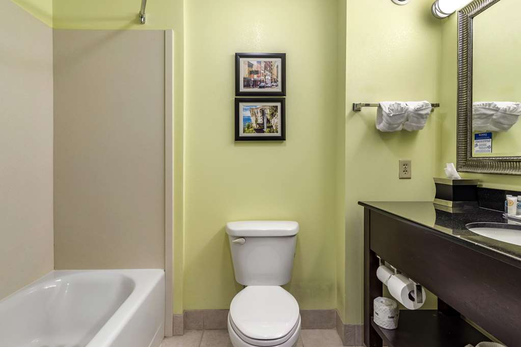 Comfort Inn Athens - photo 8