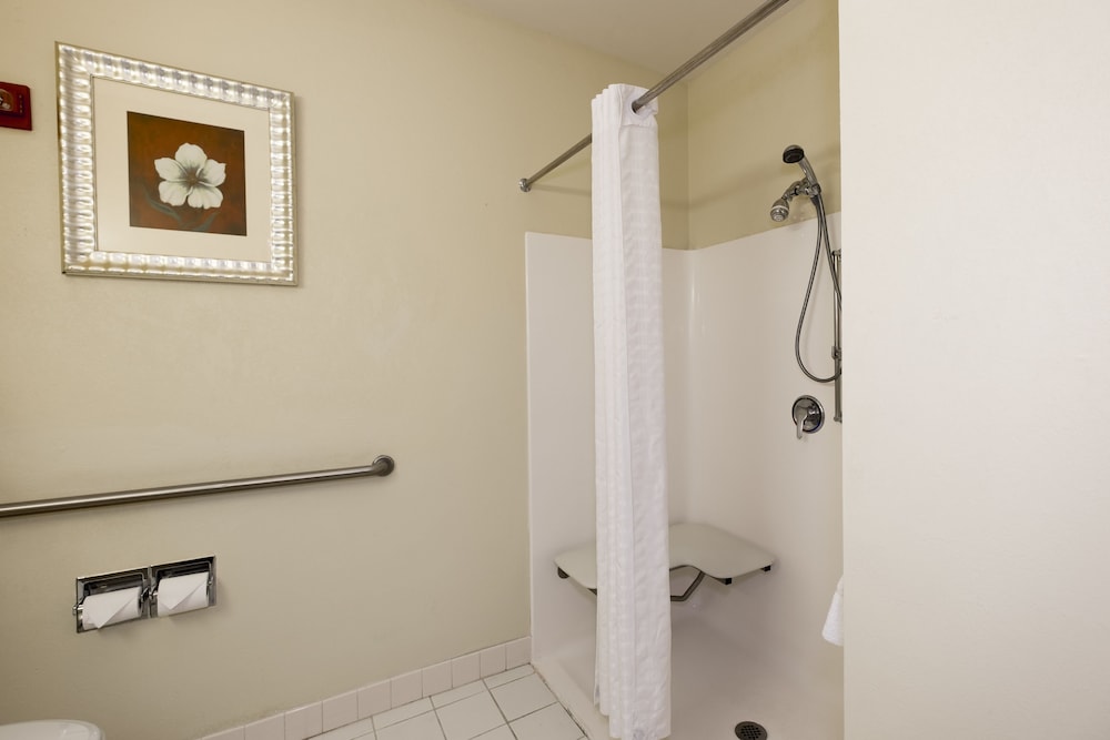 Holiday Inn Express & Suites Chicago Matteson an IHG Hotel - photo 50