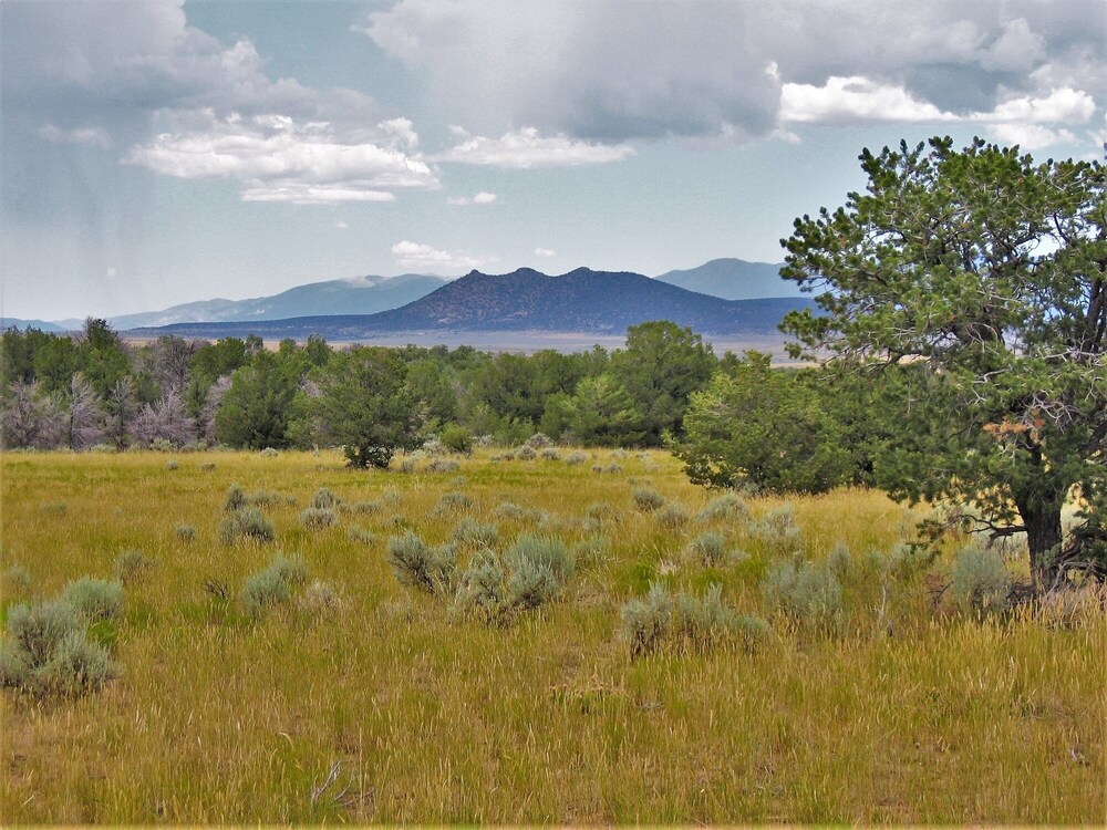 Casa Kearney Holiday Home — Santa Fe — photo 3