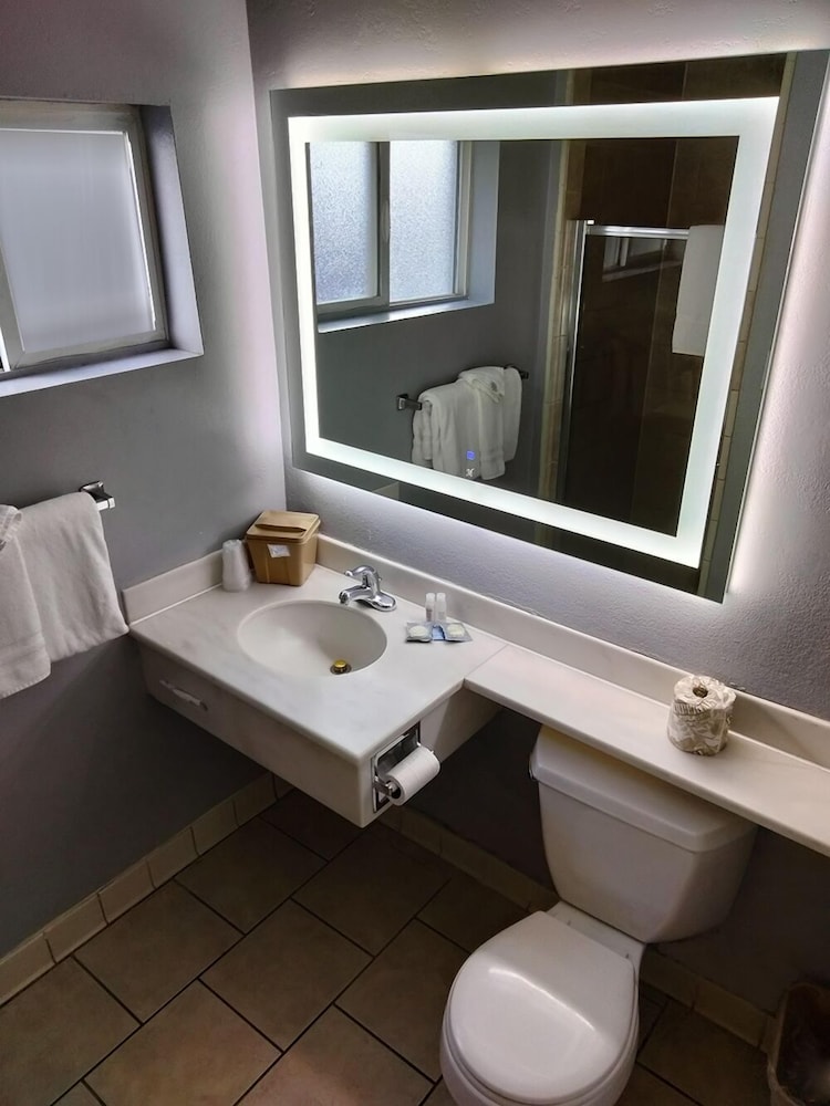 The Metropolitan Inn - photo 4