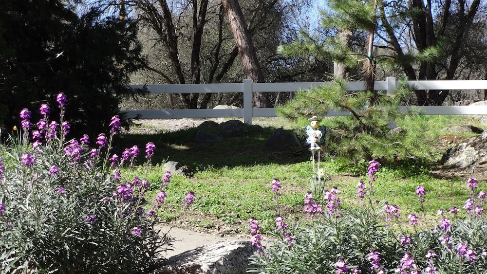 Little Valley Inn - photo 42