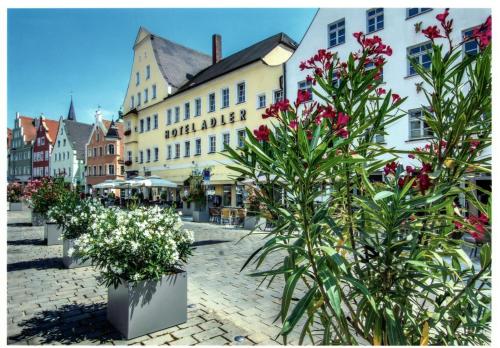 Hotel Adler — hotel in Ingolstadt