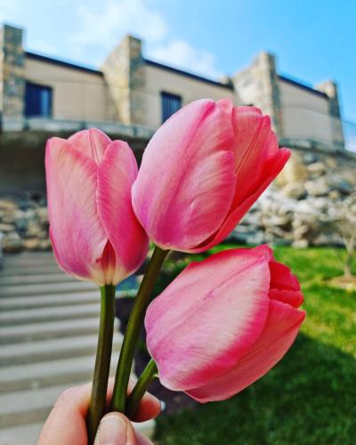 Elle Ecoholiday in Malcesine, Italy