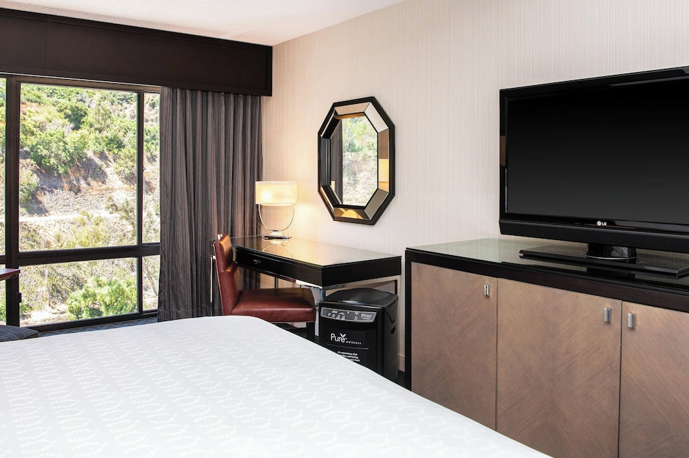 Sheraton Mission Valley San Diego Hotel - photo 28