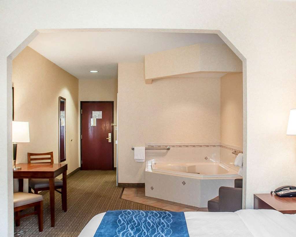 Comfort Inn & Suites Hamburg Buffalo South - photo 17